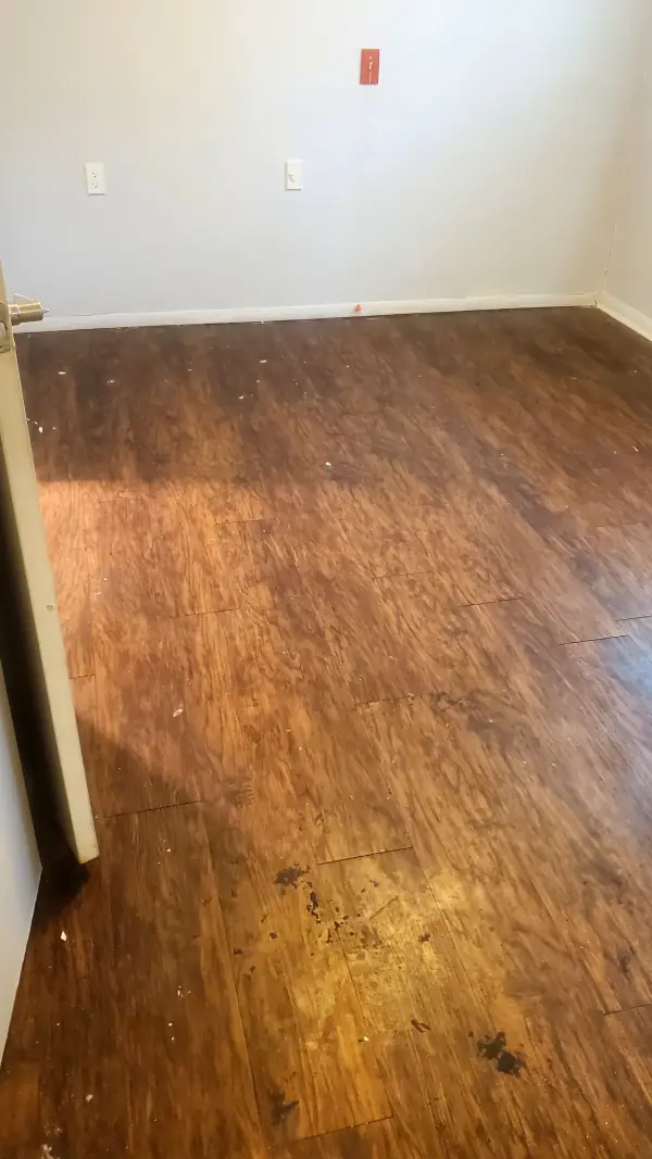 Empty room with wood-look flooring scattered with dirt and debris