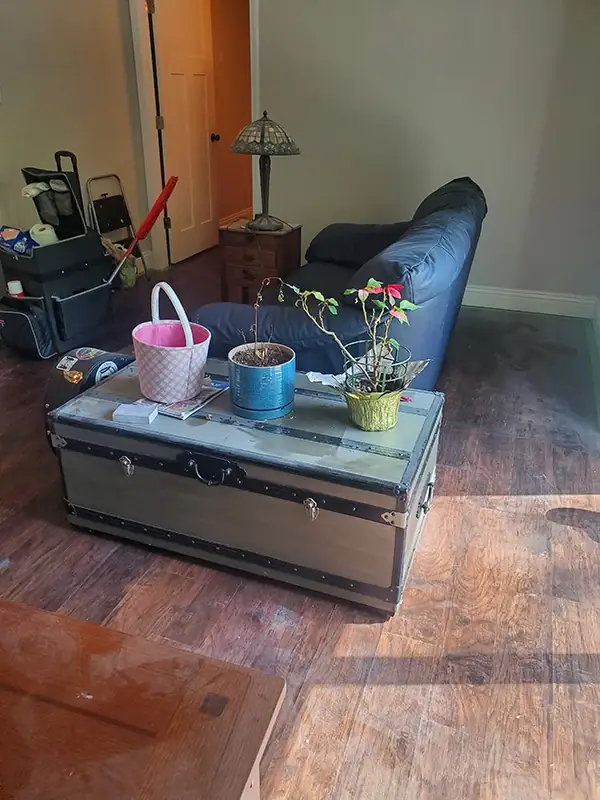 Living room with dusty, spotted wood-look flooring and cleaning supplies in the corner