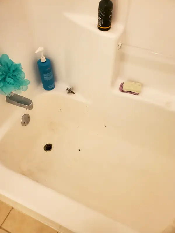 Bathtub with grime around the drain, dark debris in the basin and water spots on the faucet